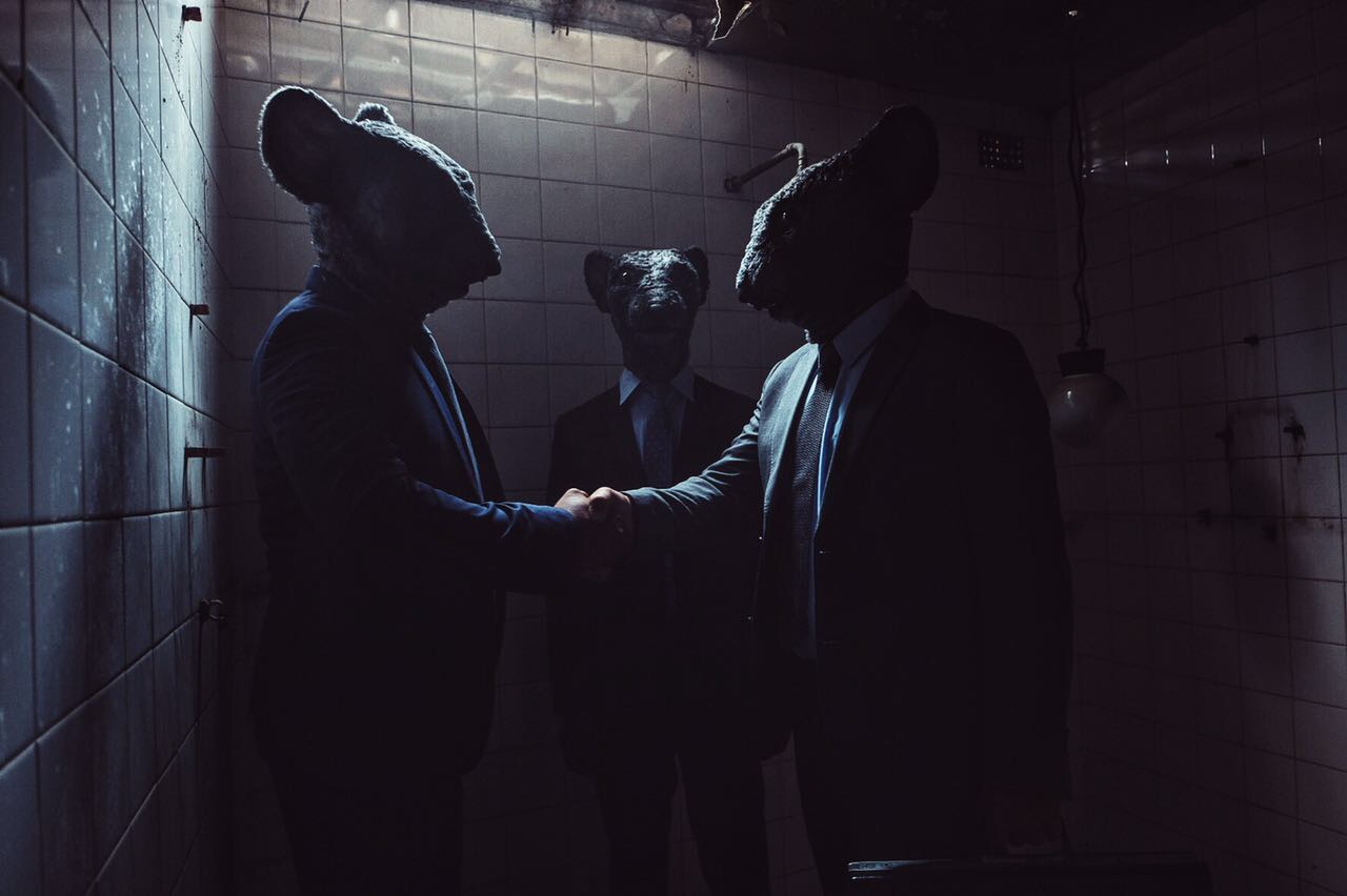 Indie Fin Fausto Becatti Rat Race Animal Heads - NERD Blog - NEWS: Fausto Becatti directs radical spot for new, youth insurance brand, Indie