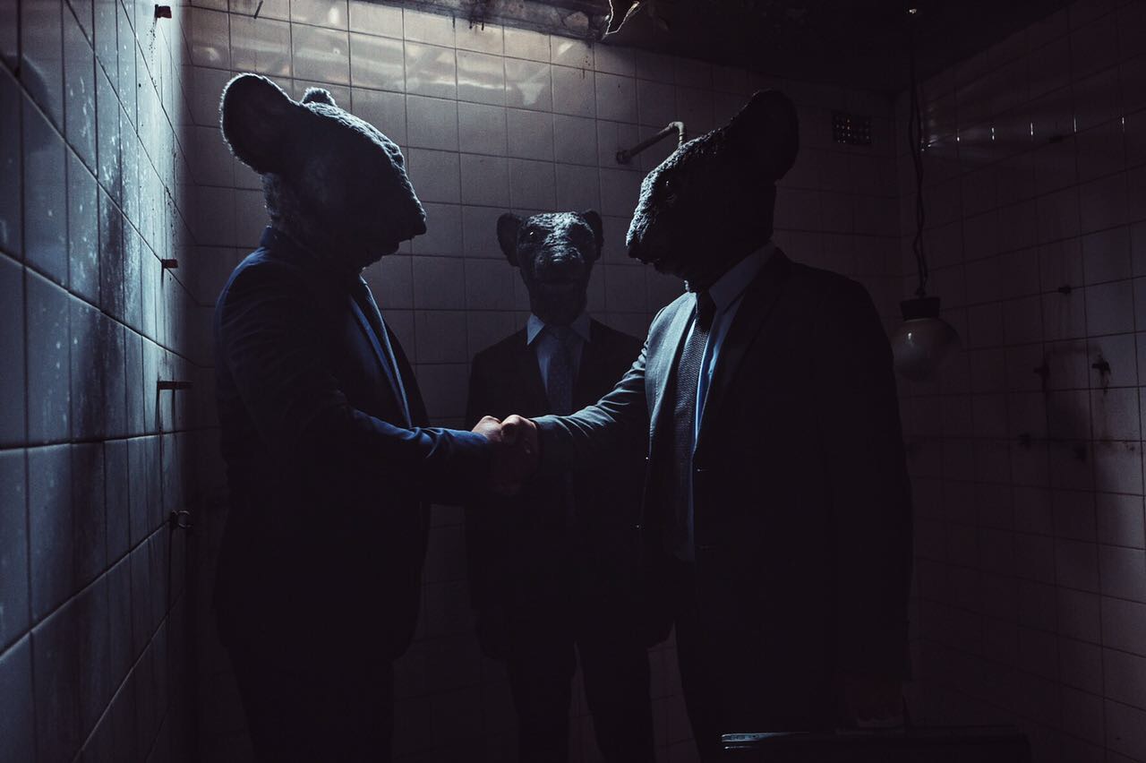 Indie Fin Fausto Becatti Rat Race Animal Heads - Nerd Blog - News: Fausto Becatti Directs Radical Spot For New, Youth Insurance Brand, Indie