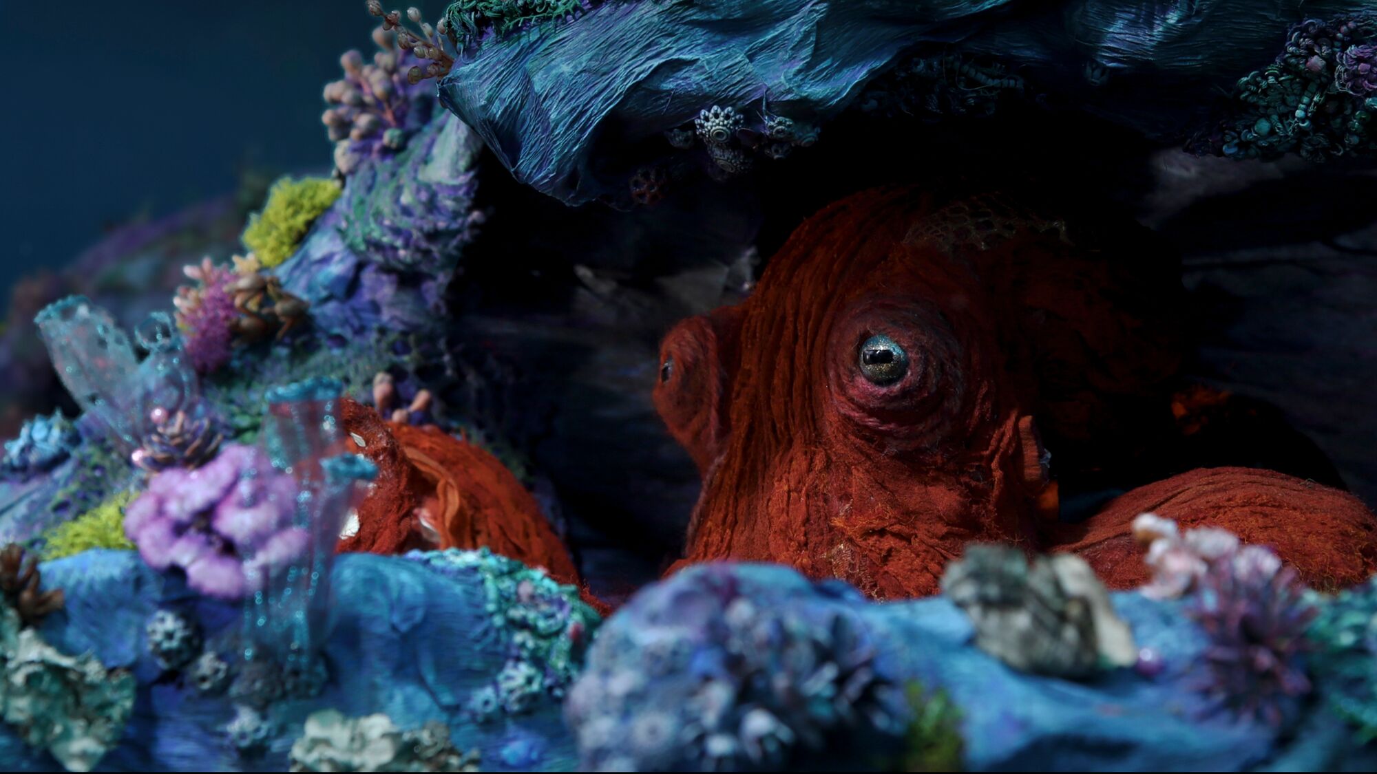 Octopus HERO - NERD Blog - Hayley Morris Takes Us On An Underwater Odyssey with OCTOPUS!